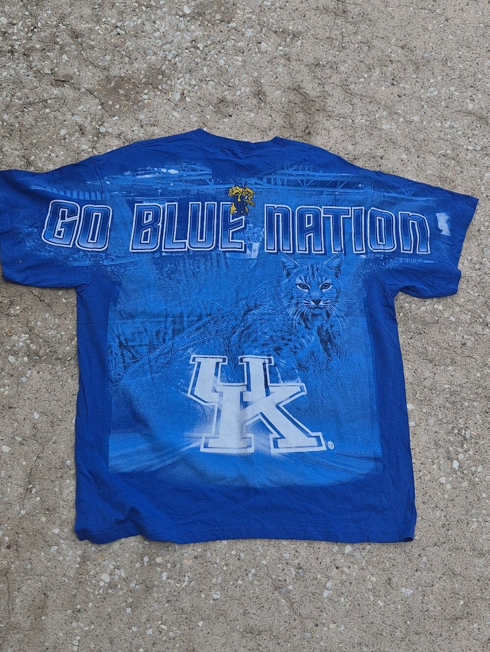 Y2K Kentucky Wildcats AOP